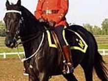 mountie.bmp