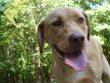 Texas Vacation 2009 022.jpg