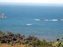 Coast 1.jpg