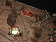 DSC_0123.JPG