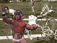 bike_crash1.jpg