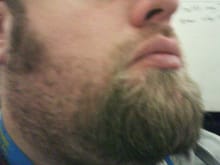 beard-crop2wks
