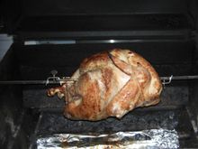 Bird 01.JPG
