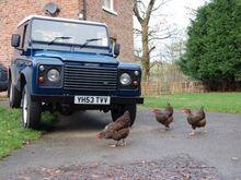 Landy2.jpg