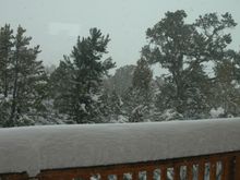 DSC_8232.JPG