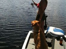 IMG_0273.jpg