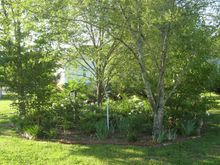 Horticulture 2010