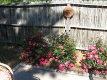 IMG_1342.JPG