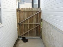 IMG_1380.JPG