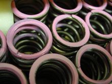 Toda Valve Springs Upclose.JPG