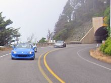 IMG_2441A.jpg