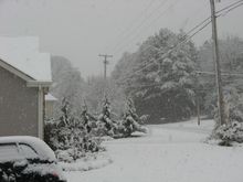 IMG_1620.JPG