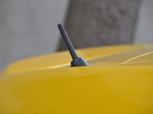 DSC_7261.JPG
