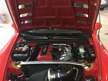 gallery_41551_31890_533539.jpeg