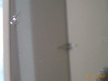 P1000890.jpg