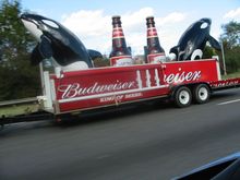 111-1113_IMG.JPG