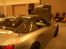 Picture 343.jpg