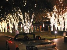 xmas03.jpg