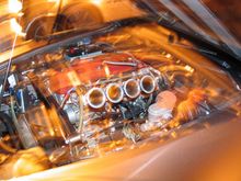 CRW_0024_RT16.jpg
