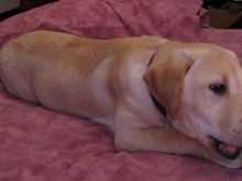 2maggie02-1.jpg