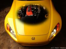 see through hood.jpg