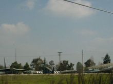 PICT0051.JPG