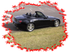 S2000 (Custom).png