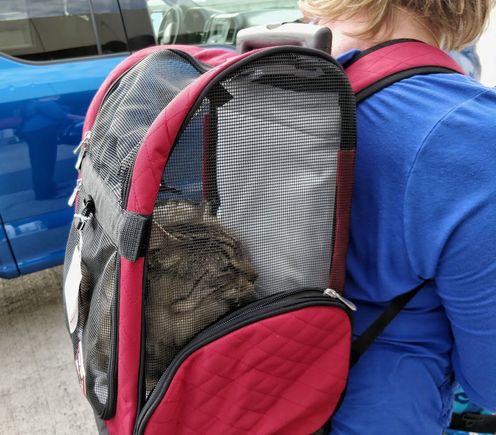 3-8-2018.  At John Wayne airport in Orange County California getting ready to come home.