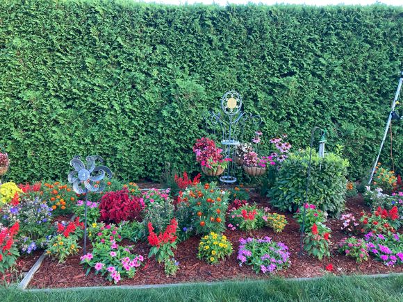 Part of the back flower garden 