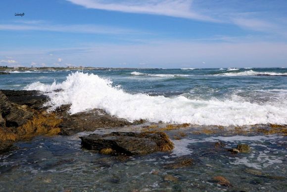 Ocean Drive, Newport RI