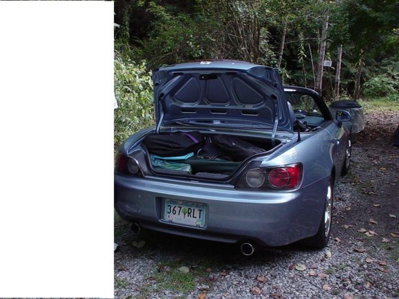 Trunk.JPG