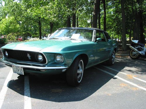 Mustang 6.jpg