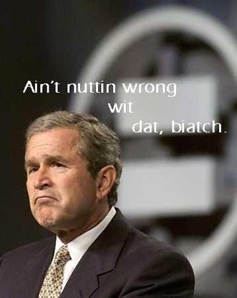 anti-bush 03.jpg