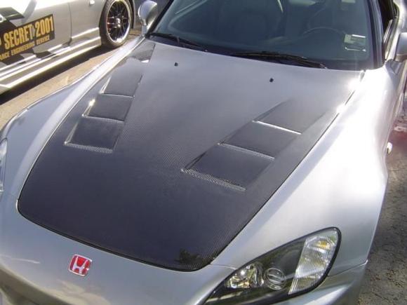 ts hood 1.jpg