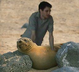 Galapagos3.jpg