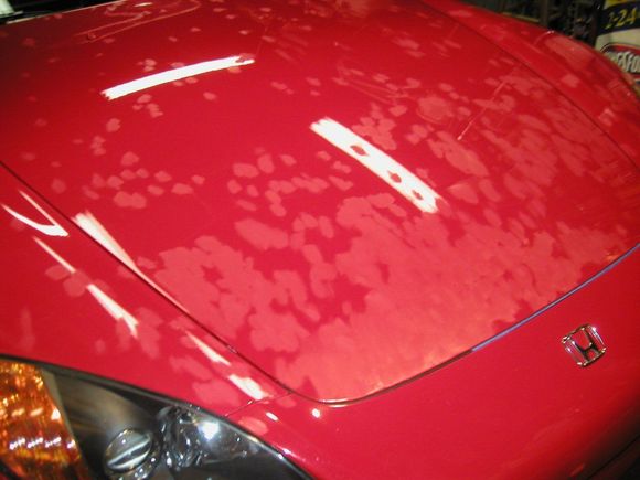 Pb130004.jpg