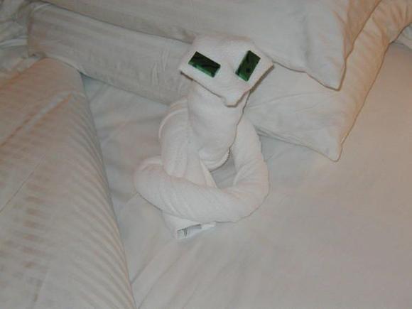 Towel art snake.jpg
