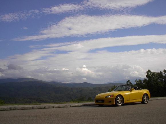 The Bruised Banana At Rest 2.JPG