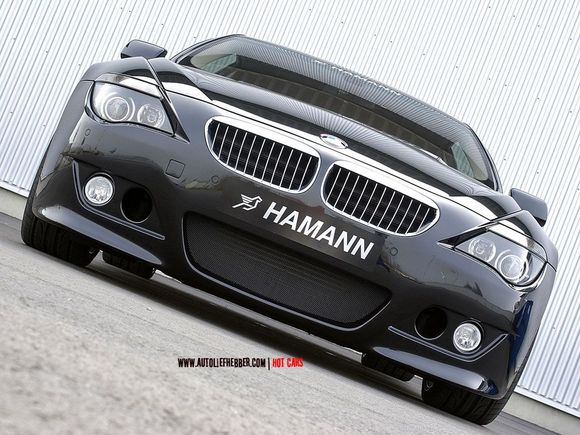 Hamann 645Ci_01[1].jpg