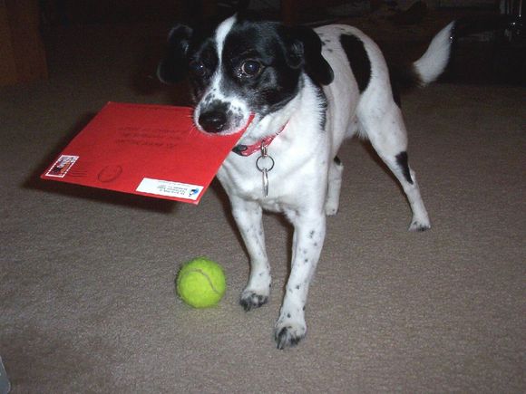 annie-mail.jpg