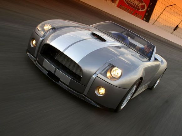 shelby04_03_800.jpg