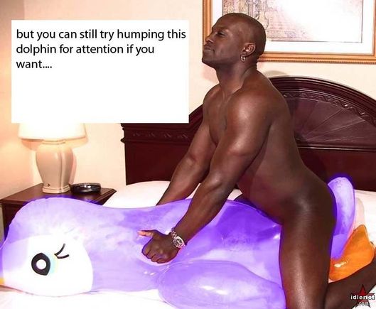dolphin.jpg