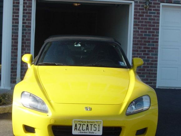 daisy front.jpg