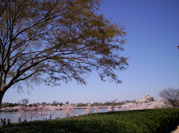 ViewFromTheJeffMemorial