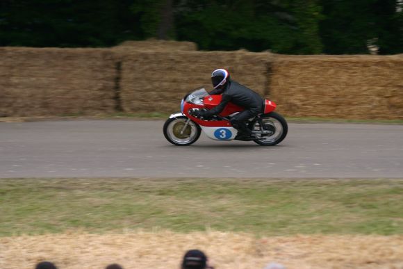 image297.jpg