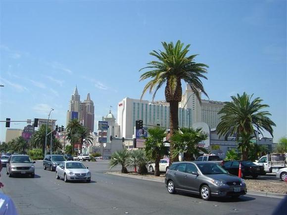 DSC00004 (Small).JPG