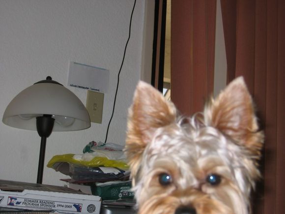 Picture 026.jpg