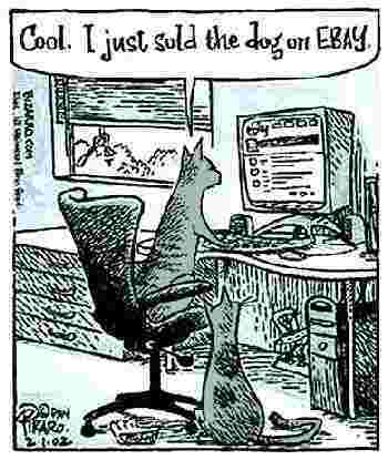 cats revenge