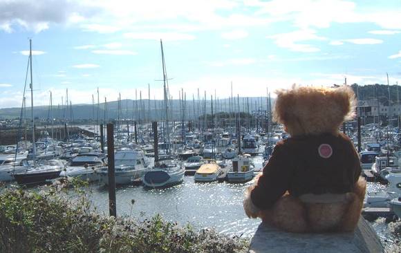 Stooky at Conwy Marina 1.jpg