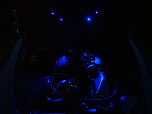 wanker lights 002.jpg